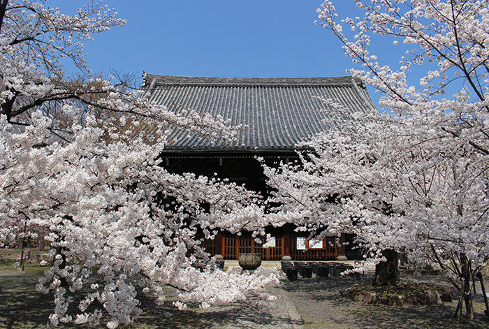50立本寺本堂前