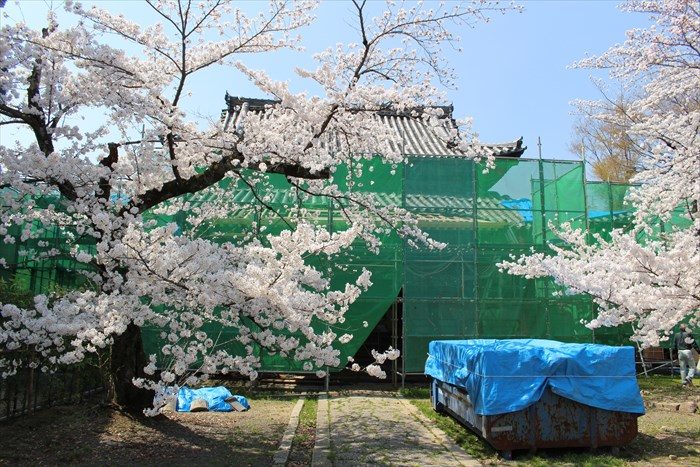 34祖師堂は改修中