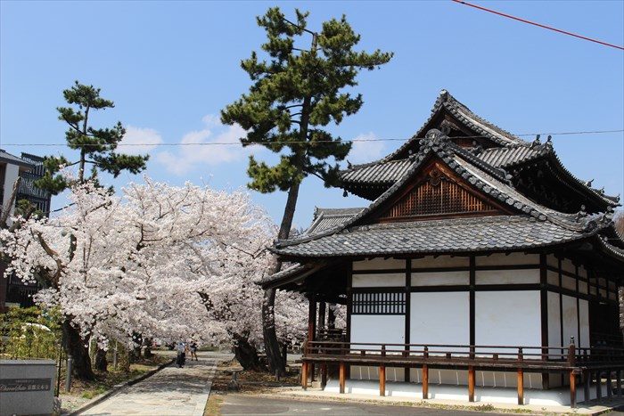 6立本寺正門をくぐり参道へ