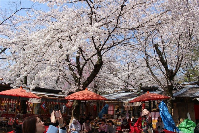 53平野神社の屋台で休憩する人達