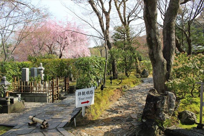 8順路途中にある墓地の