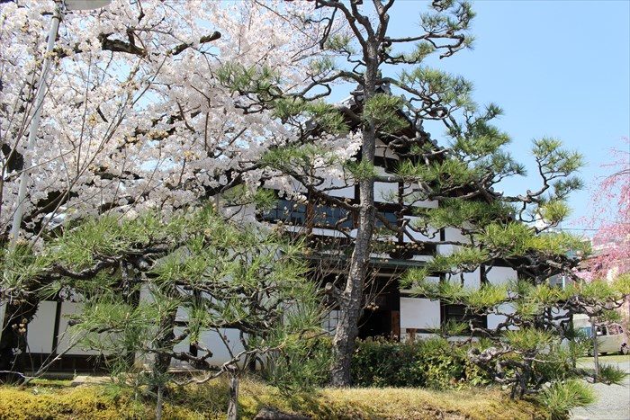 36立本寺方丈（寺務所）