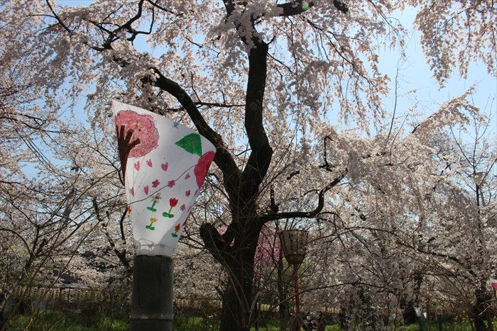 45桜苑の手書きのライト?