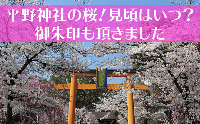 平野神社の桜 見頃はいつ 御朱印も頂きました 京都をぶらり お寺 神社 御朱印のブログ