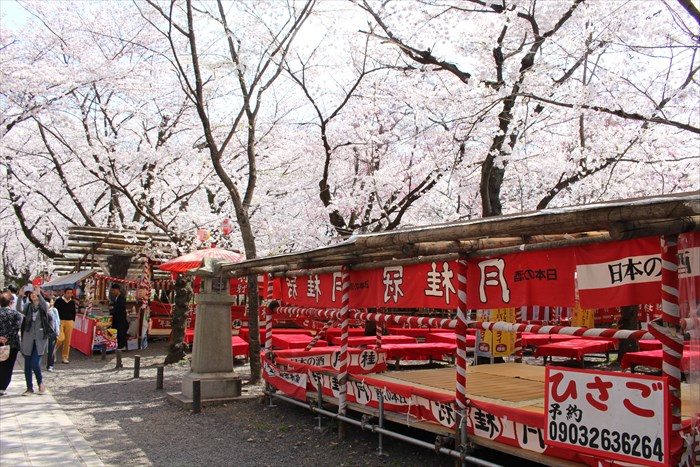 58平野神社の夜桜用の席2