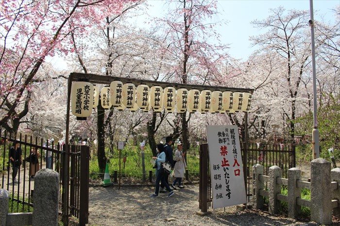 40桜苑の入り口