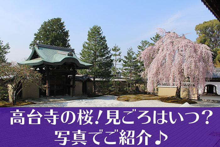 高台寺のしだれ桜タイトル-01