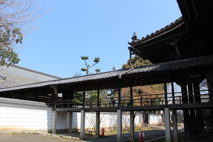 29本堂と方丈を結ぶ渡り廊下