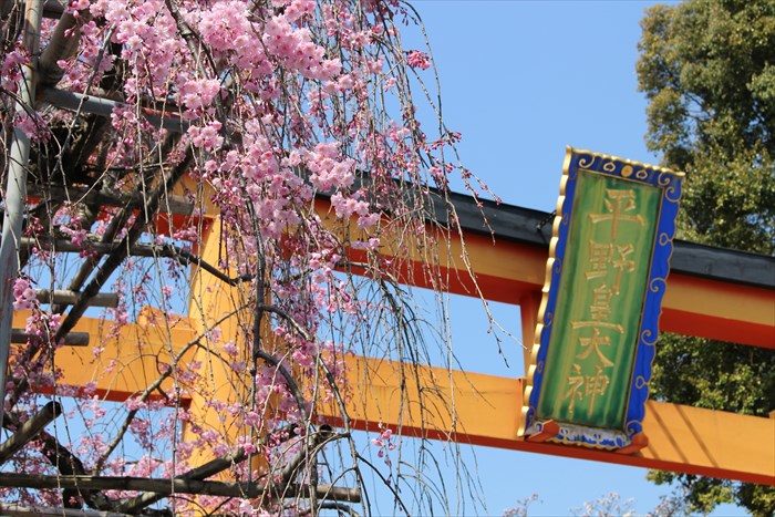 7鳥居の額としだれ桜