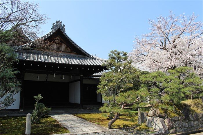 35立本寺方丈玄関と桜