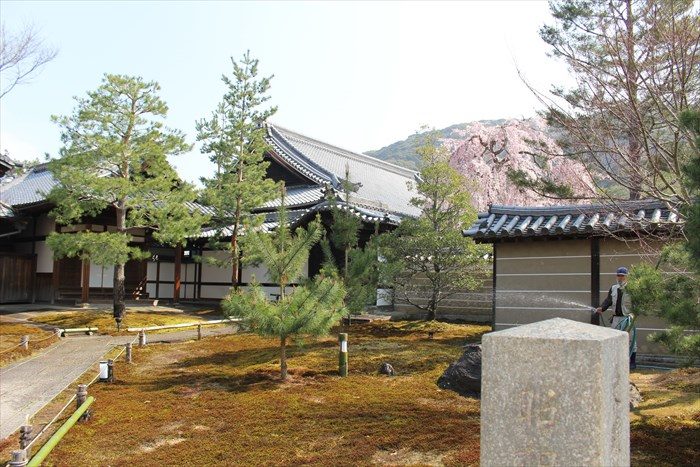 1高台寺の唐門