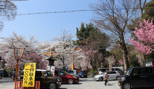 平野神社の駐車場！料金は？近くて安いおすすめ！