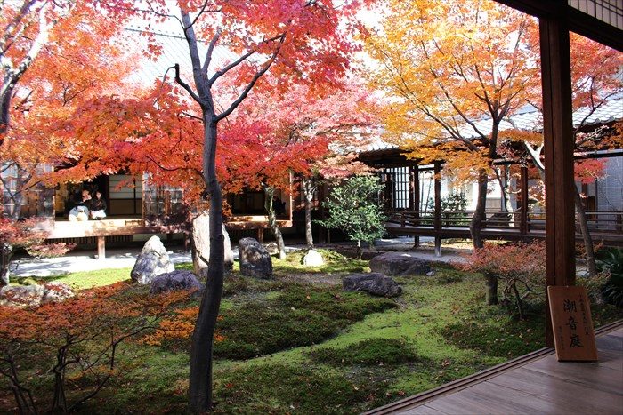 1潮音庭の南側からの紅葉