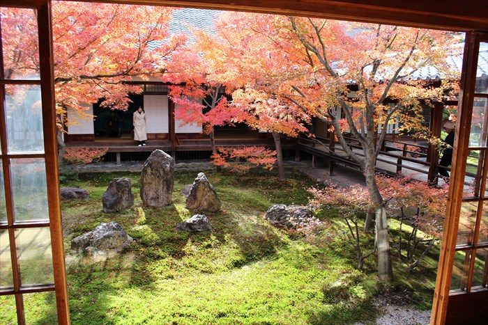 7潮音庭の北側と紅葉