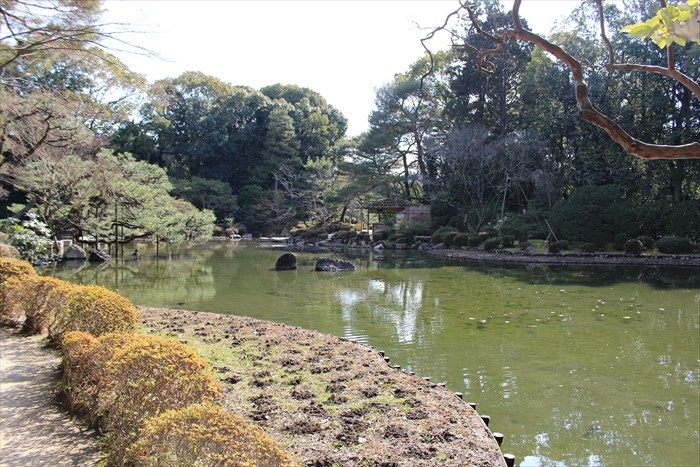 44.中神苑、蒼龍池