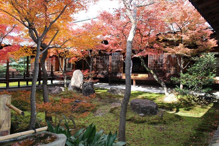 10潮音庭の西側全体