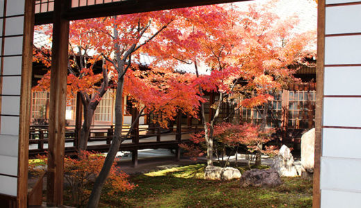 建仁寺の紅葉！見頃はいつ？写真でご紹介♪