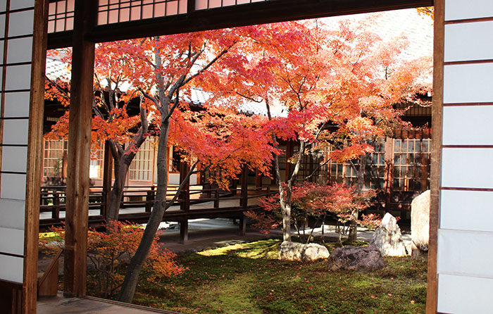 2建仁寺の紅葉：潮音庭南側2