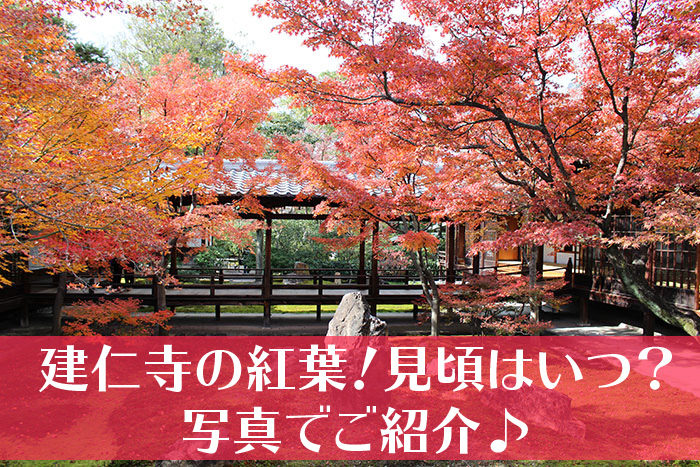 建仁寺の紅葉の見頃タイトル