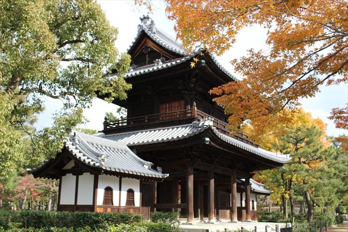 17三門と黄色い紅葉