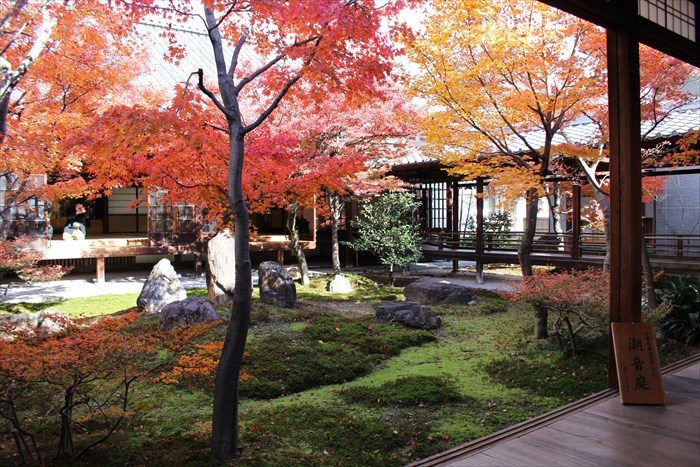 40潮音庭の紅葉の見頃：正面