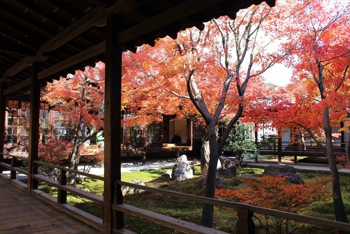 5建仁寺の紅葉：潮音庭東側