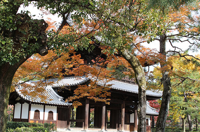 16三門と紅葉