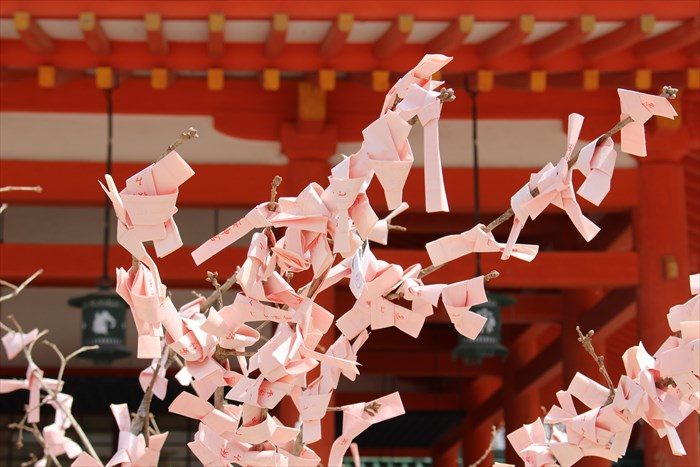 ６.桜色のおみくじの結び木でした！