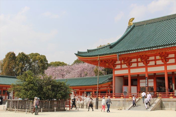 10.大極殿と桜