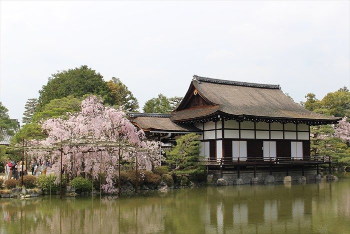 35.尚美館としだれ桜