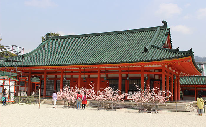 ４.境内に入って右手にも、桜？？