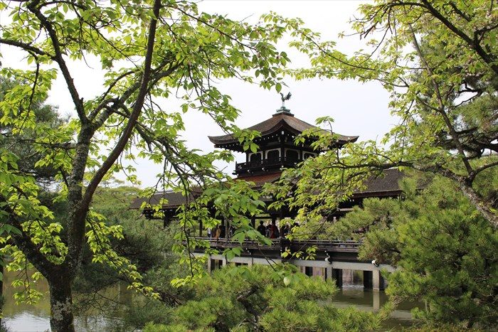 33.葉桜と泰平閣