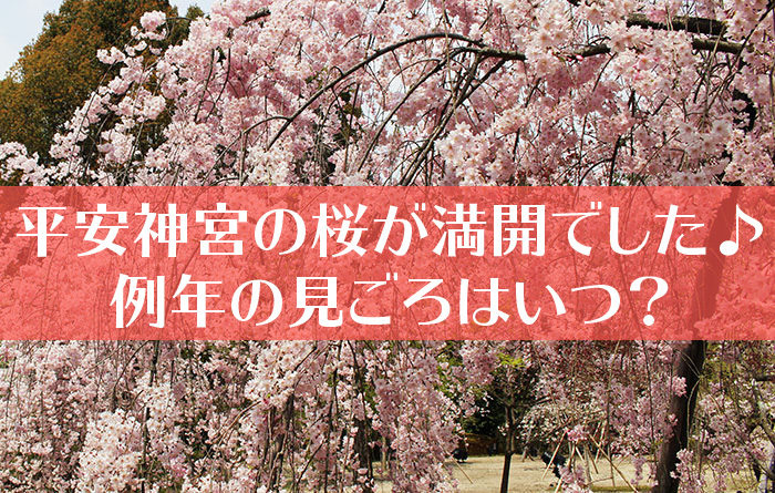 平安神宮の神苑の桜-01