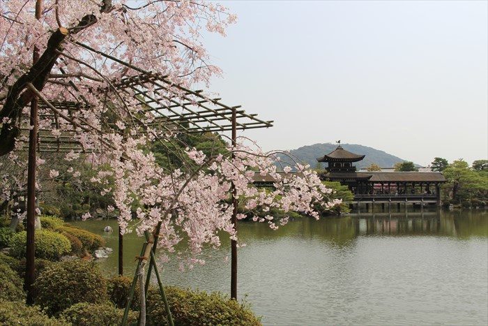 31.栖鳳池の向こうに泰平閣（橋）