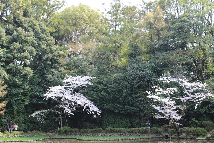 21.西神苑白虎池付近