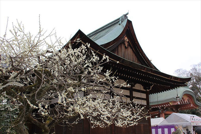 52.宝物殿の隣の神楽殿