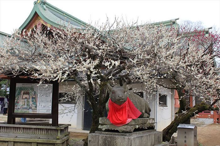 18.境内図と赤目牛