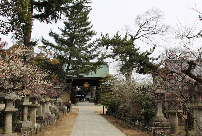 43.北門
