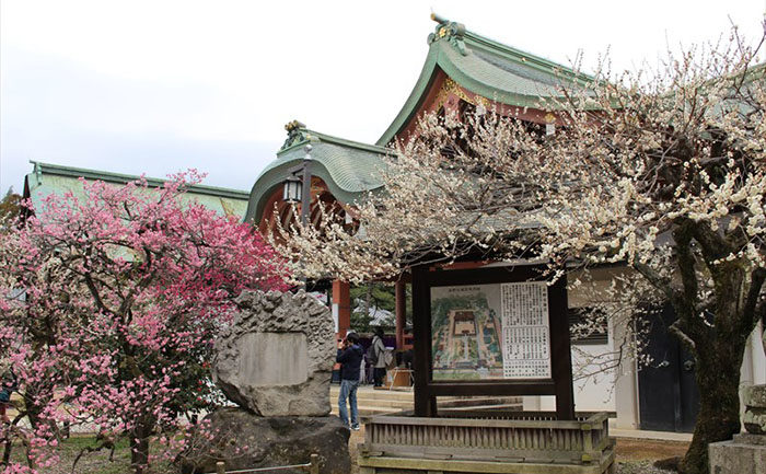 19.境内図と梅と宝物殿