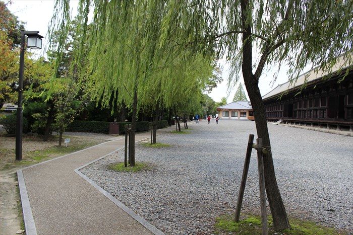 9西側の遊歩道