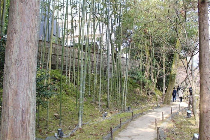 5.川沿いを進む
