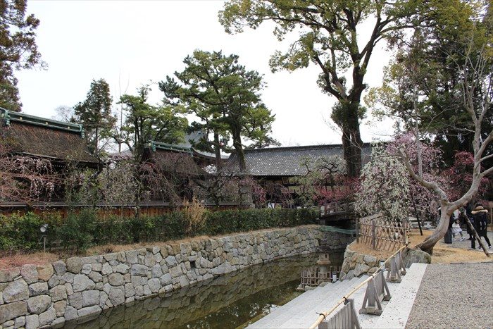 9.庭園奥から絵馬所方面を望む