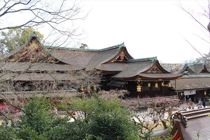 17.展望所から望む国宝 本殿