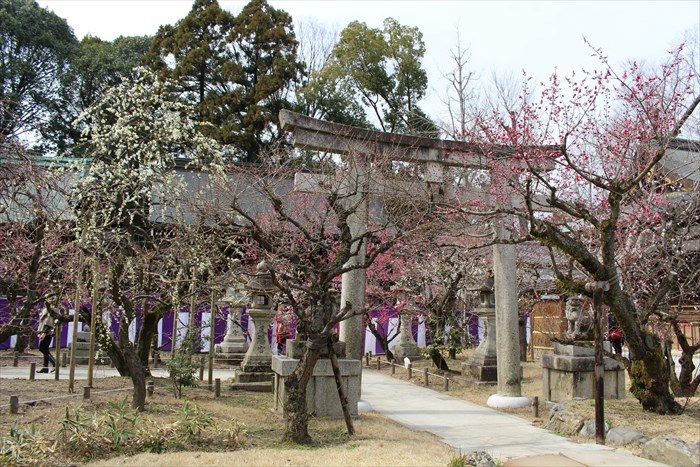 5.庭園の鳥居