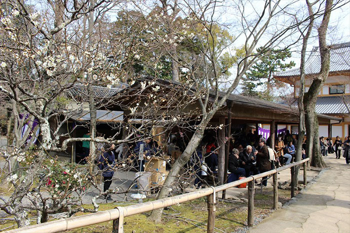 12.梅苑内の茶屋