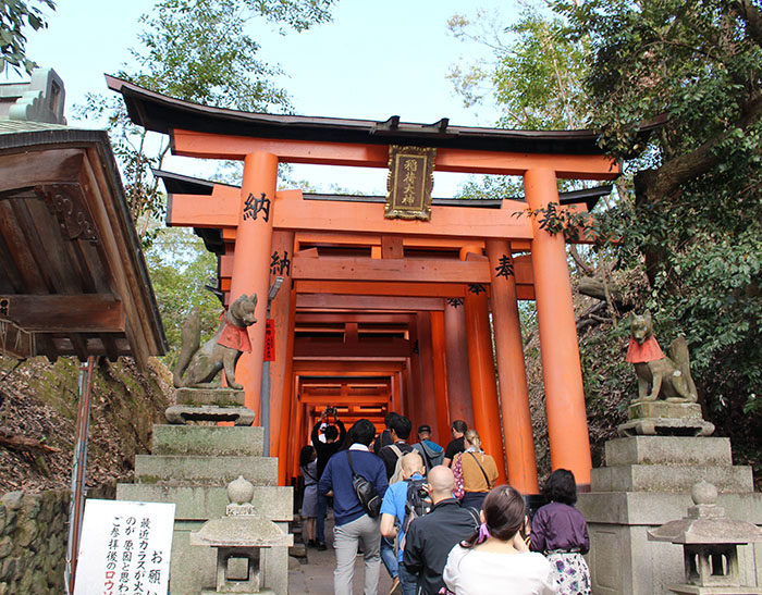 42.お山入口