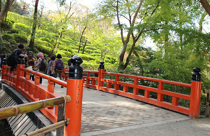 43.十石橋(じっこくはし)