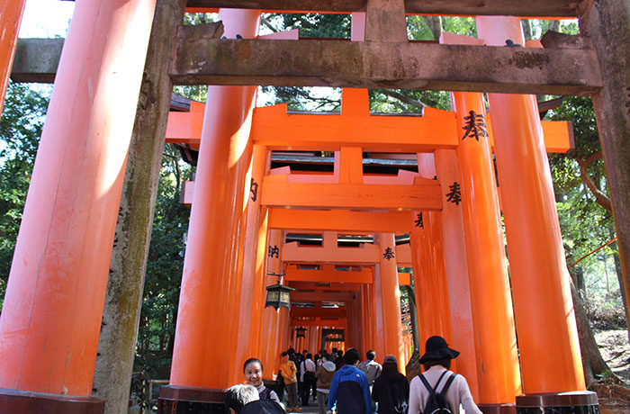 33.大きな鳥居が並ぶ中を進んでいきます