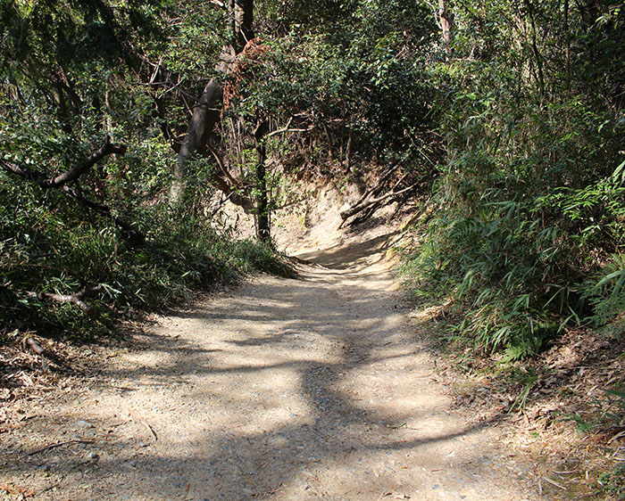 14.山道を下って戻ります