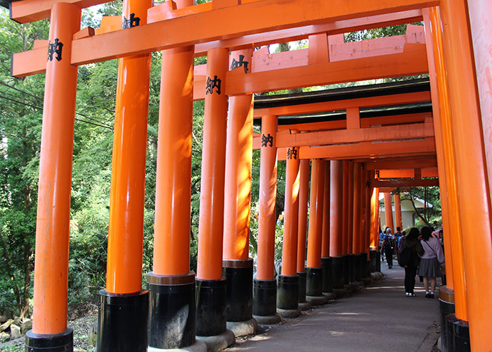 19.大きめの鳥居をくぐって登っていきます2